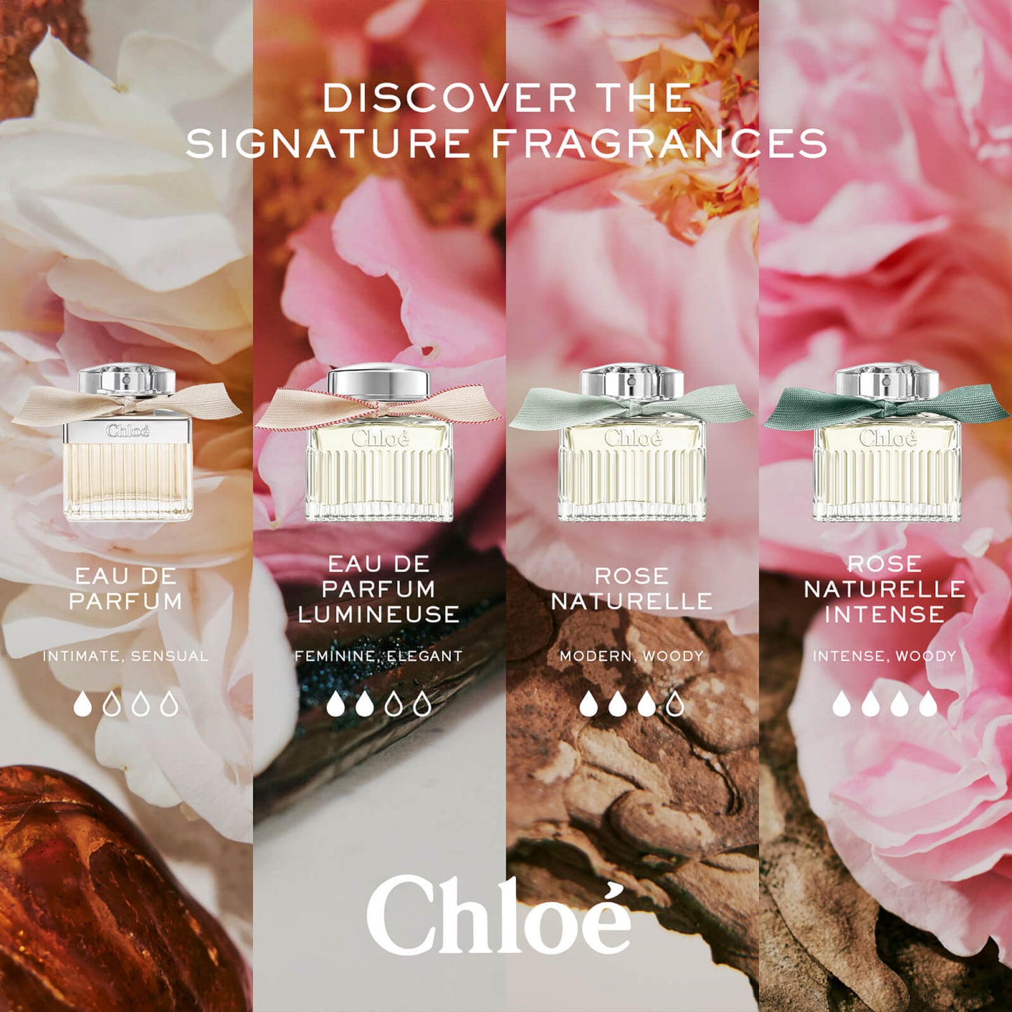 Chloé Damesgeuren Chloé Eau de parfum Dames 30ml