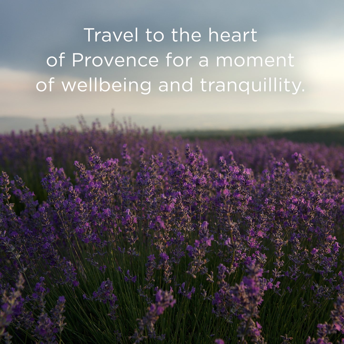 L'OCCITANE Lavender Foaming Bath 500ml