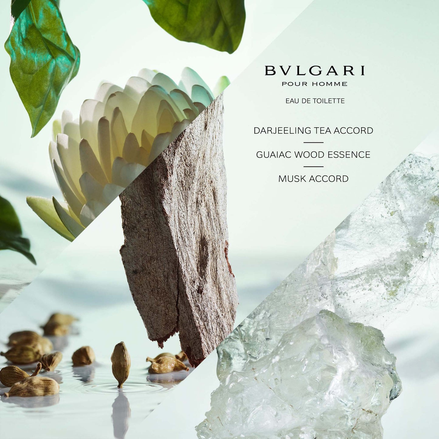 BVLGARI Pour Homme Bvlgari pour Homme Eau de Toilette Spray