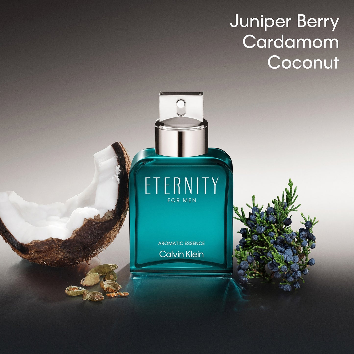CALVIN KLEIN Eternity for men Aromatisch Essence