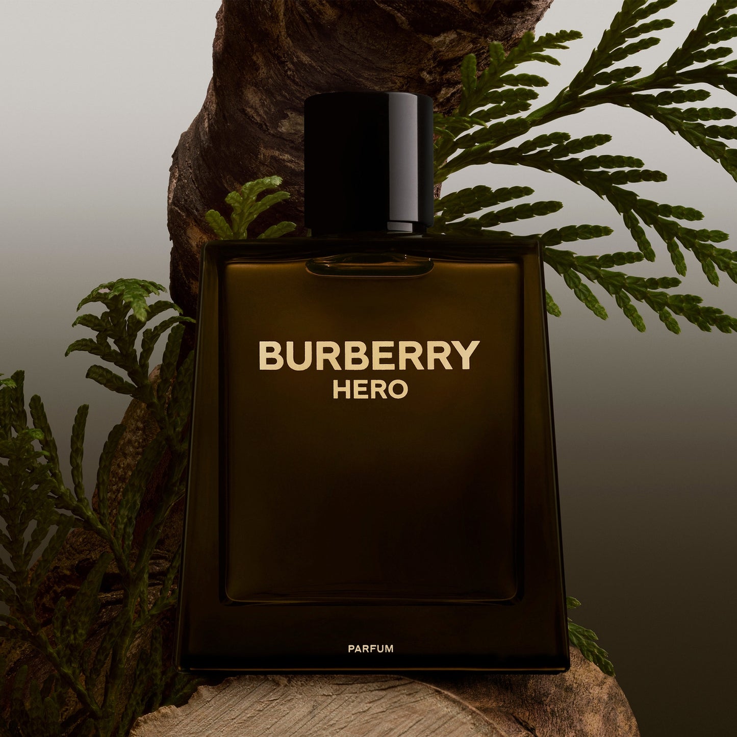 BURBERRY Hero