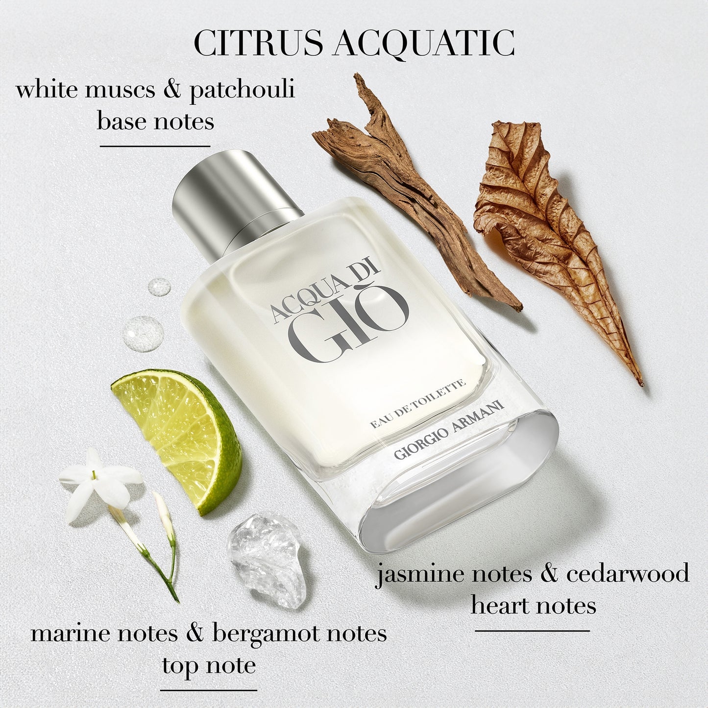 Armani Acqua di Giò Homme
