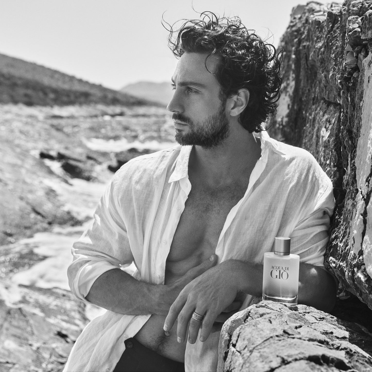 Armani Acqua di Giò Homme