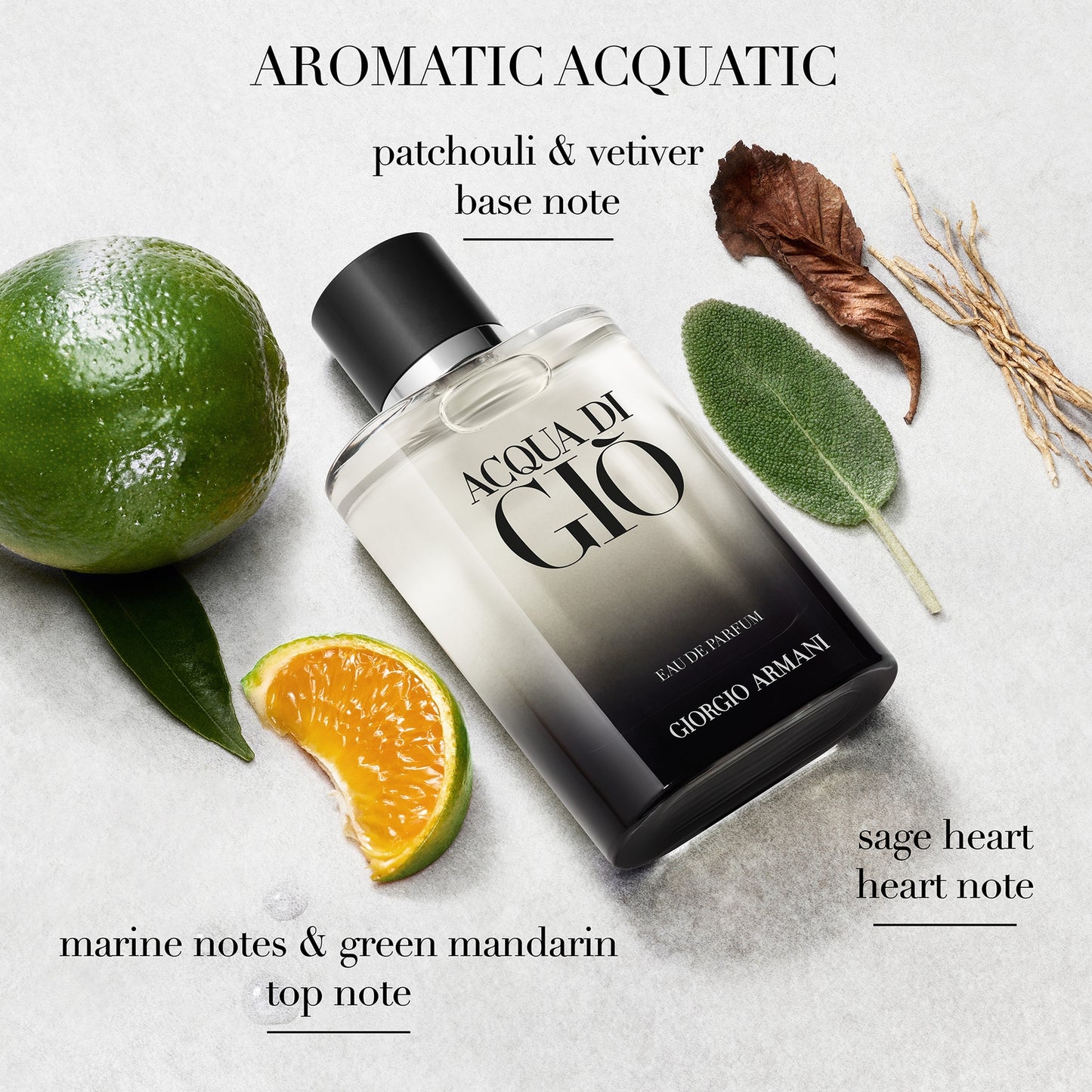 Armani Acqua di Giò Homme