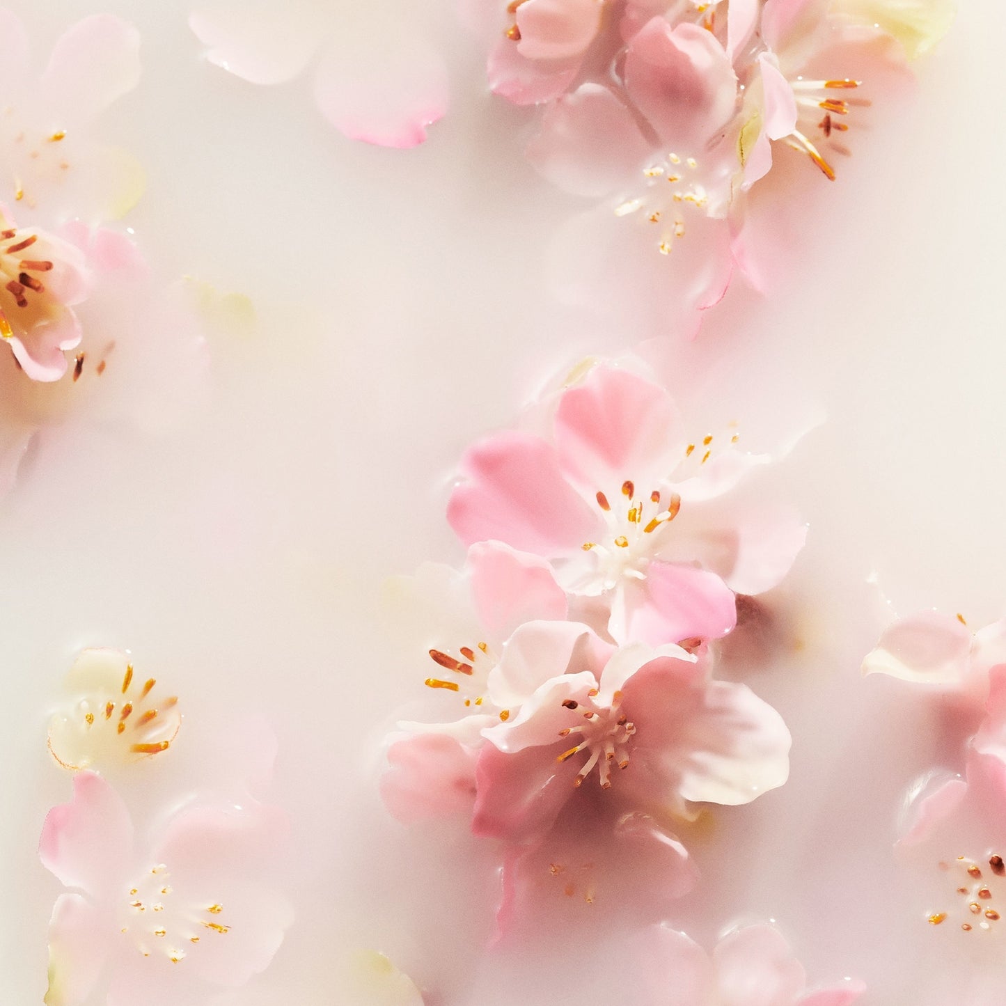 Rituals The Ritual of Sakura - Floral Cherry Blossom & Rice Milk - Small Bath and Body Gift Set