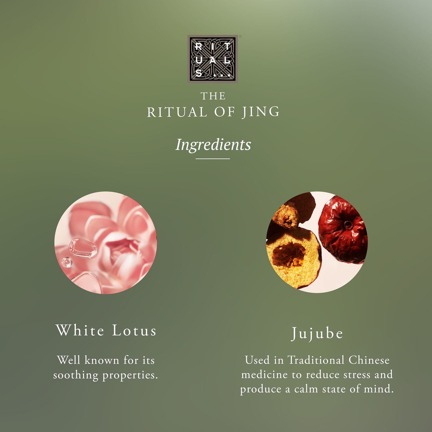 Rituals The Ritual of Jing - Subtle Floral Lotus & Jujube - Concentrated Refill Hand Wash 100ml