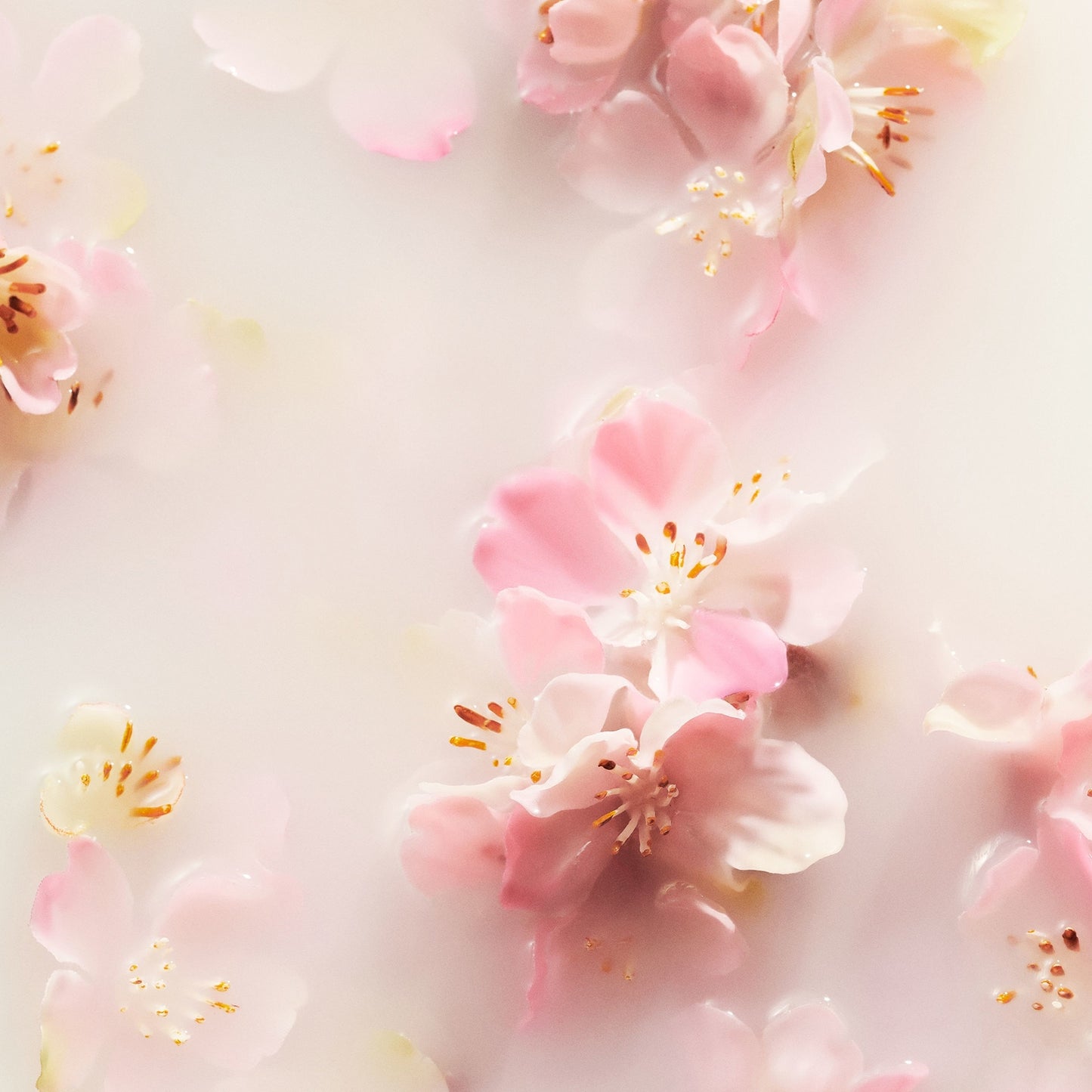 Rituals The Ritual of Sakura - Floral Cherry Blossom & Rice Milk - Concentrated Refill Hand Wash 100ml