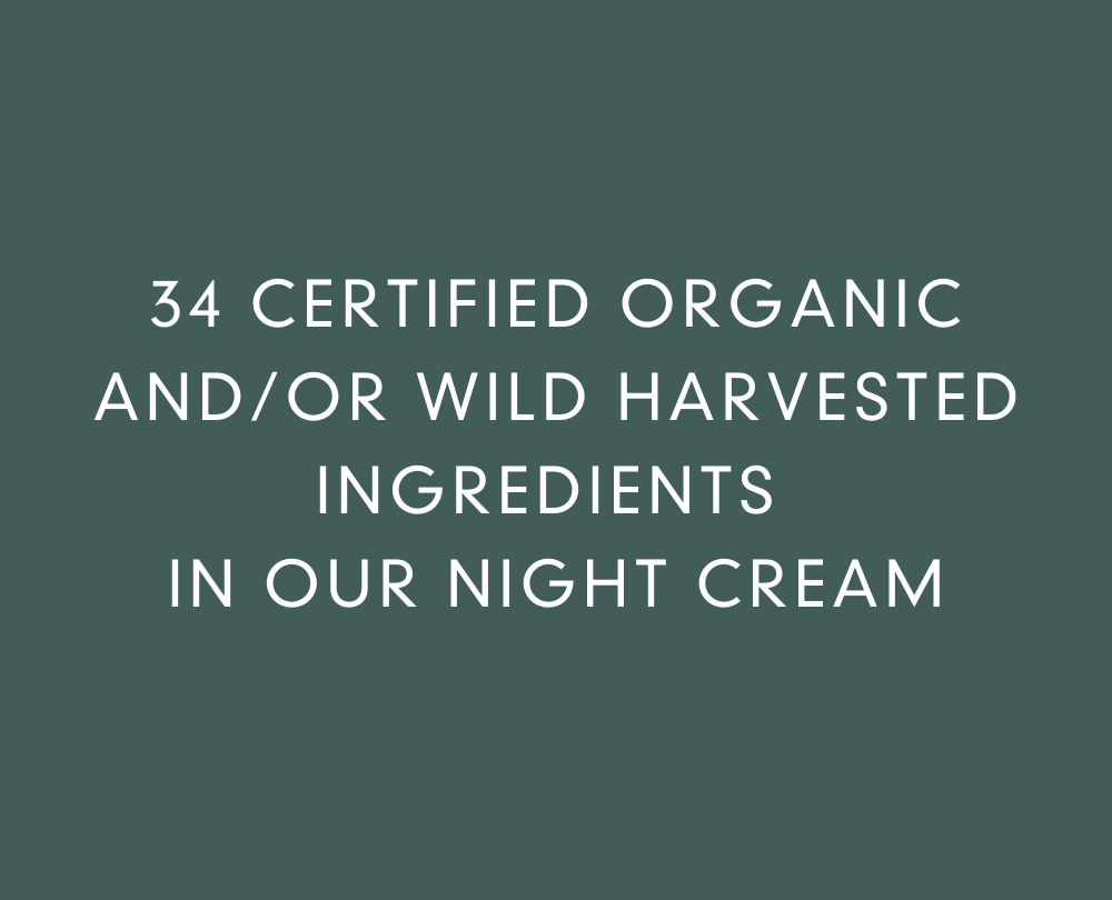 Organic Night Cream