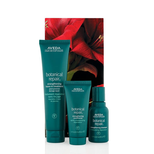 Aveda Botanical Repair Haarverzorgingsset