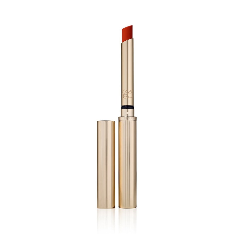 Estée Lauder Pure Color Explicit Silk Matte