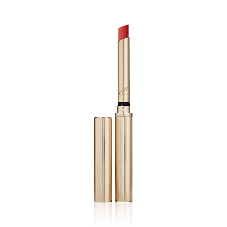 Estée Lauder Pure Color Explicit Silk Matte