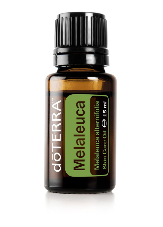 Melaleuca (Tea Tree)