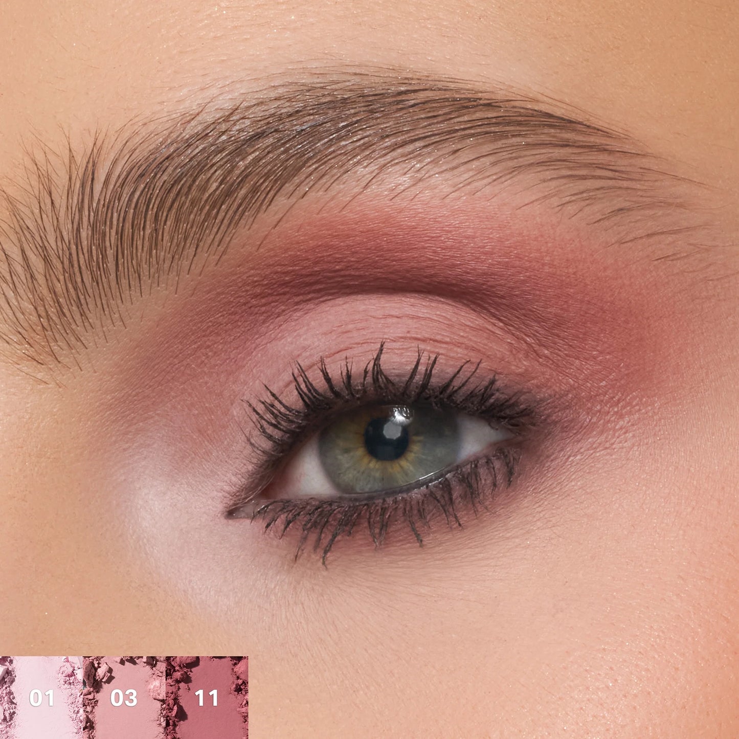 Morphe Rose Frequency Eyeshadow Palette