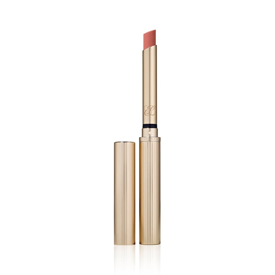 Estée Lauder Pure Color Explicit Silk Matte