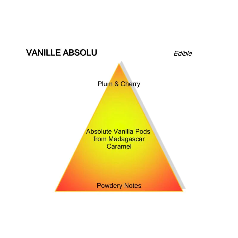 Montale Vanilla absolute (100ml)