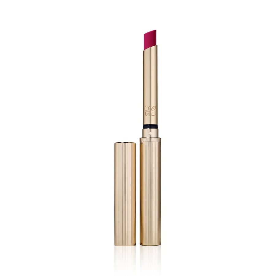 Estée Lauder Pure Color Explicit Silk Matte