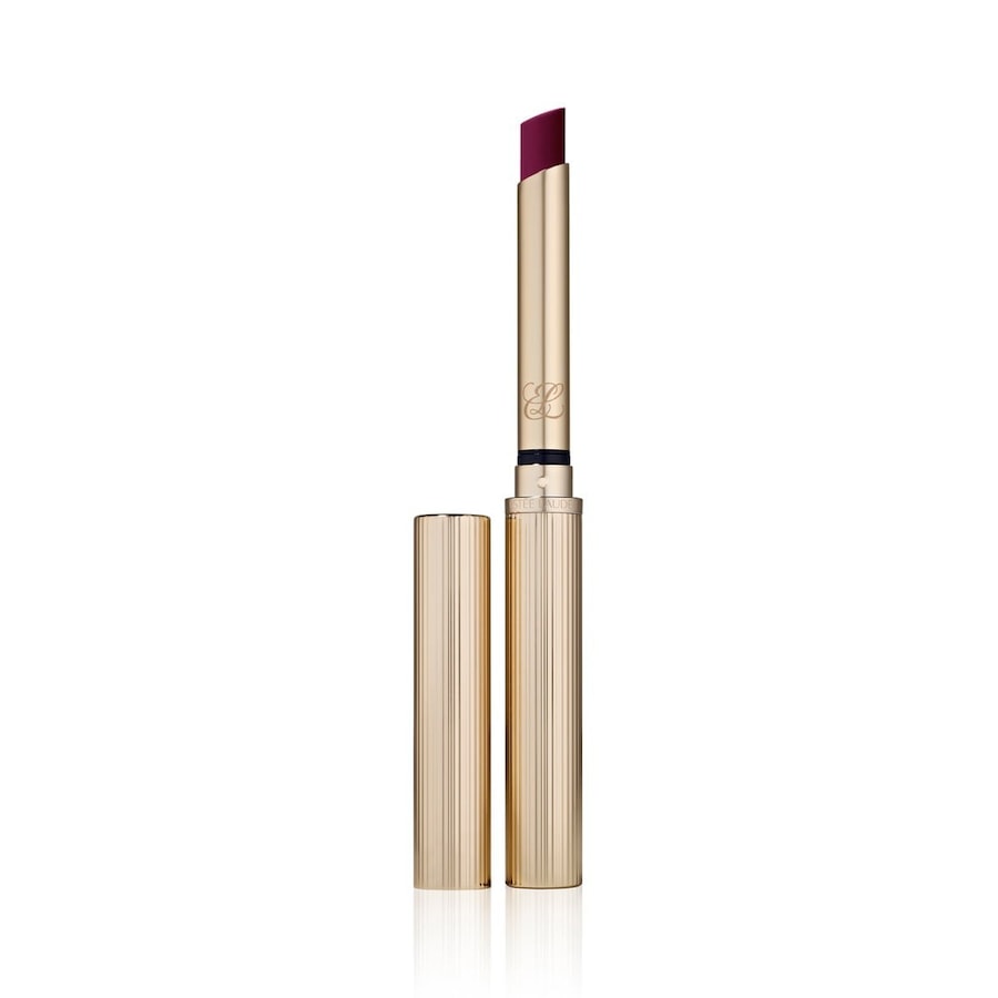 Estée Lauder Pure Color Explicit Silk Matte